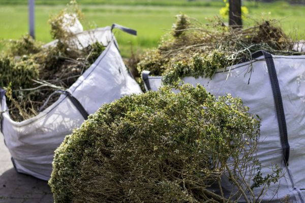 Shrubs Removal in Tracy