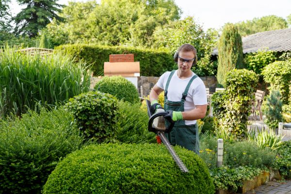 Shrubs Trimming in Tracy